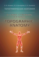 Topographic anatomy