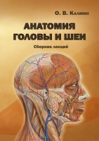 Анатомия головы и шеи