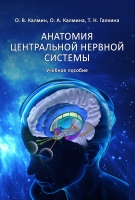 Анатомия центральной нервной системы