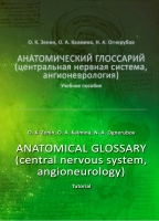 Анатомический глоссарий (центральная нервная система, ангионеврология)